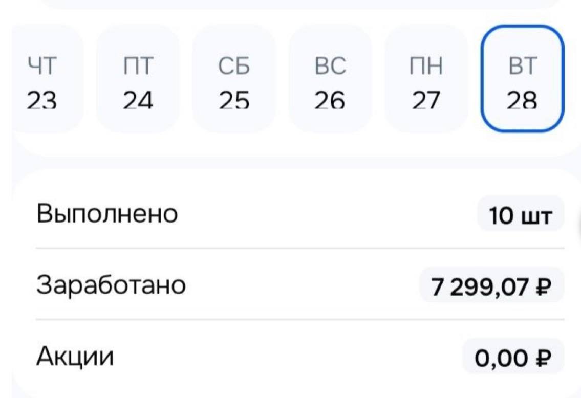 Москва — заработано 7 299,07 ₽, выполнено 10 заказов
